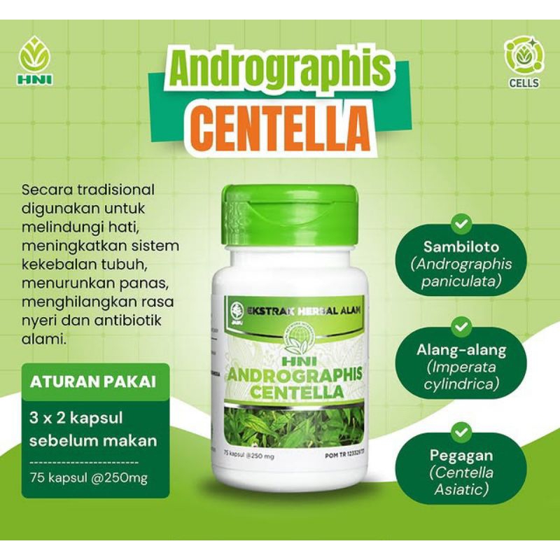 

ANDROGRAPHIS CENTELLA - ANTIBIOTIK ALAMI- PEREDA NYERI - PELINDUNG LIVER