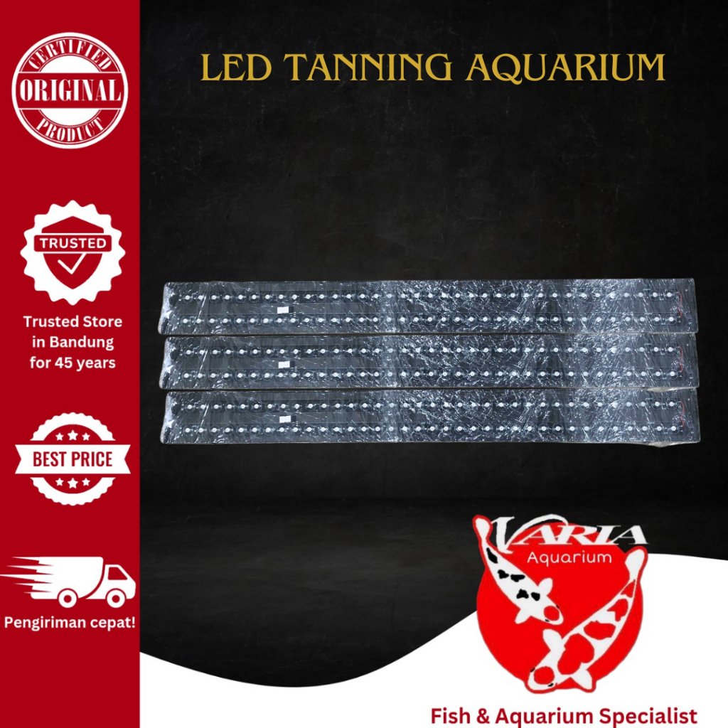 Lampu Tanning Aquarium Lampu Led Tanning Arwana