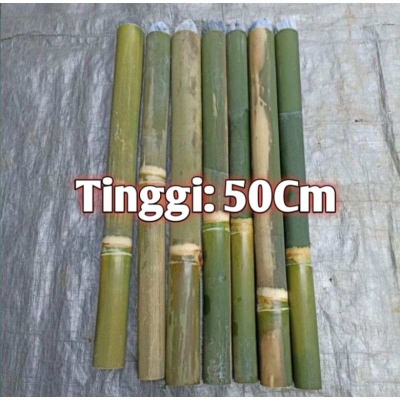 Obor bambu /paway bambu 50cm