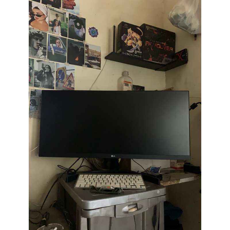 LG 29WL500 ultrawide FHD ips