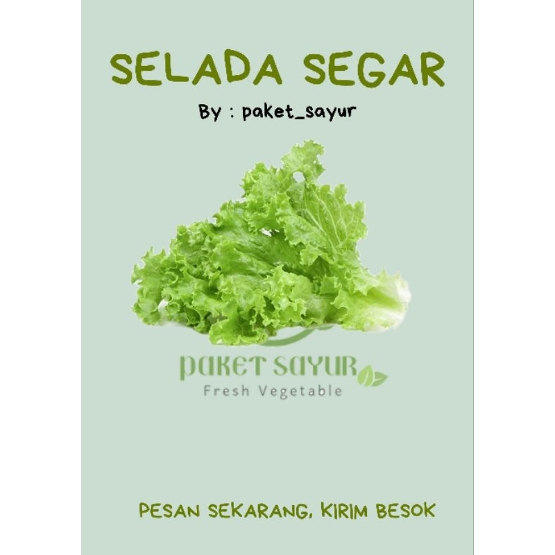 

SELADA SEGAR