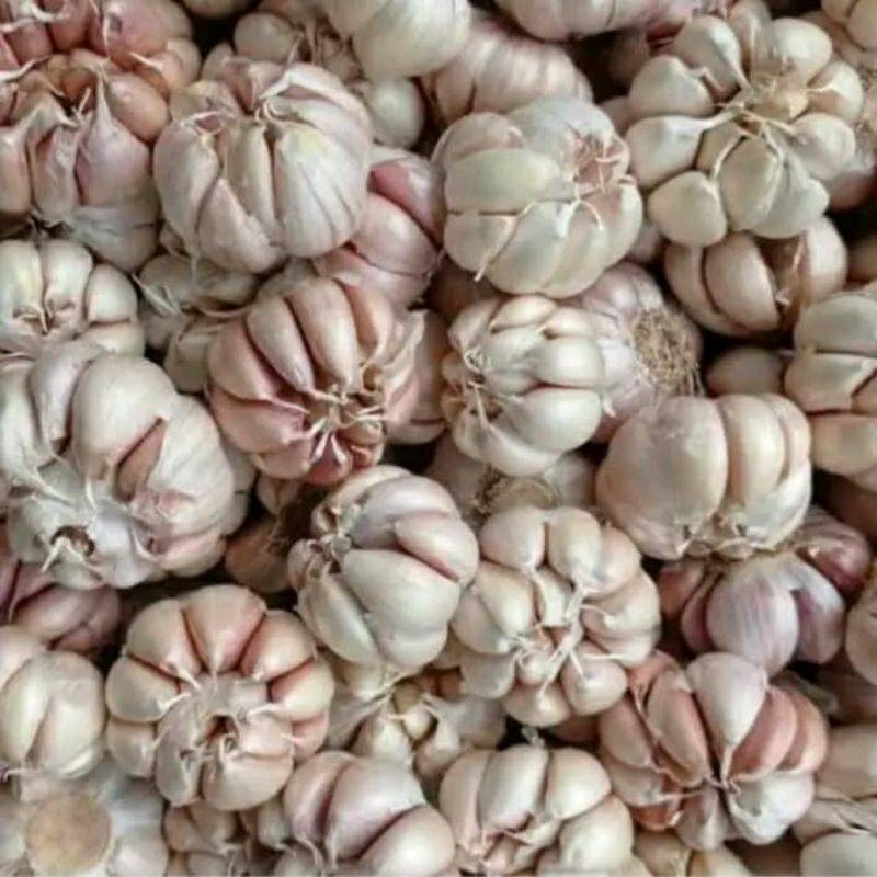 

BAWANG PUTIH SINCO 1kg
