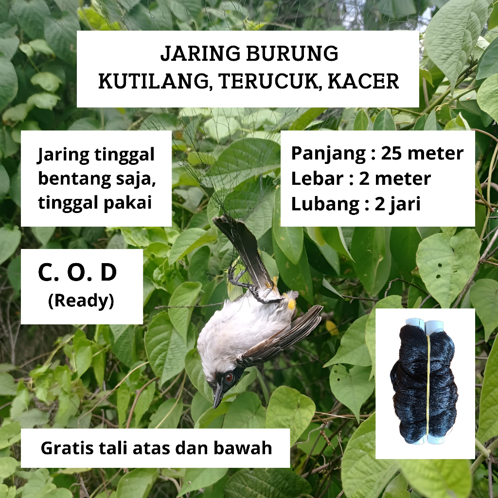 Jaring burung warna hitam Panjang 20 meter siap pakai 0.15mm burung sawah lubang 2 jari longgar coco