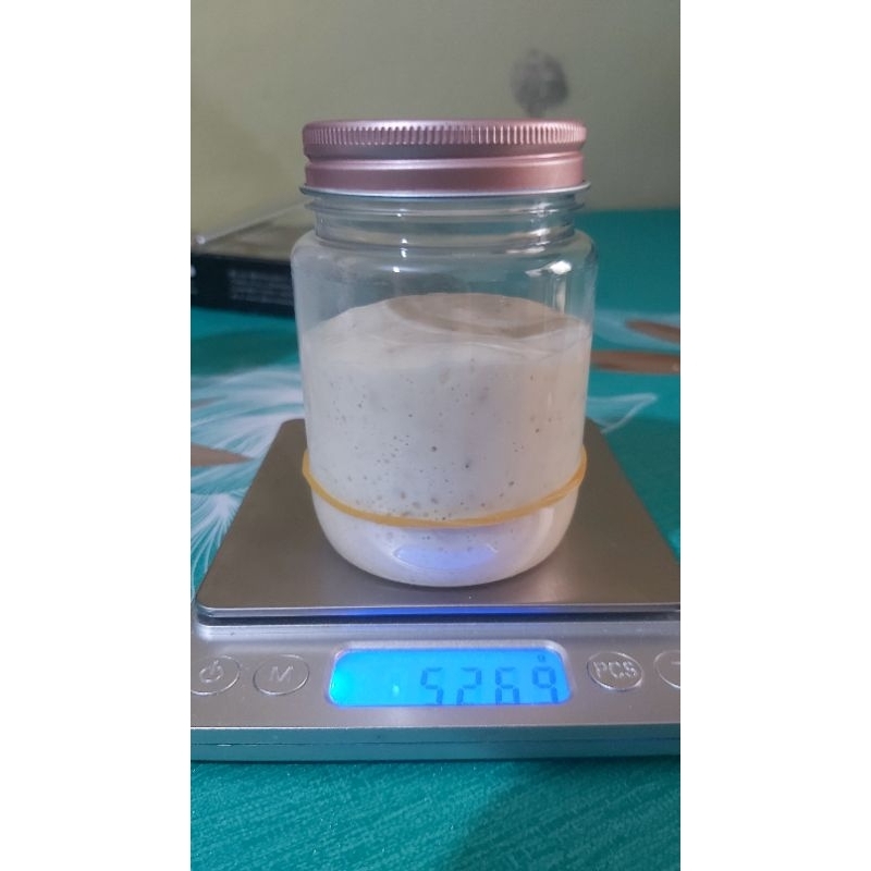 

RB22 Starter Sourdough Aktif 50 Gram
