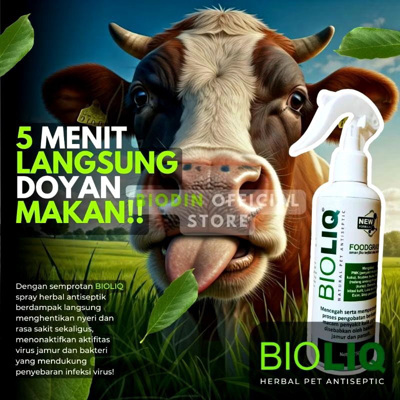 BIODIN spray/Bioliq spray 250 ml obat PMK