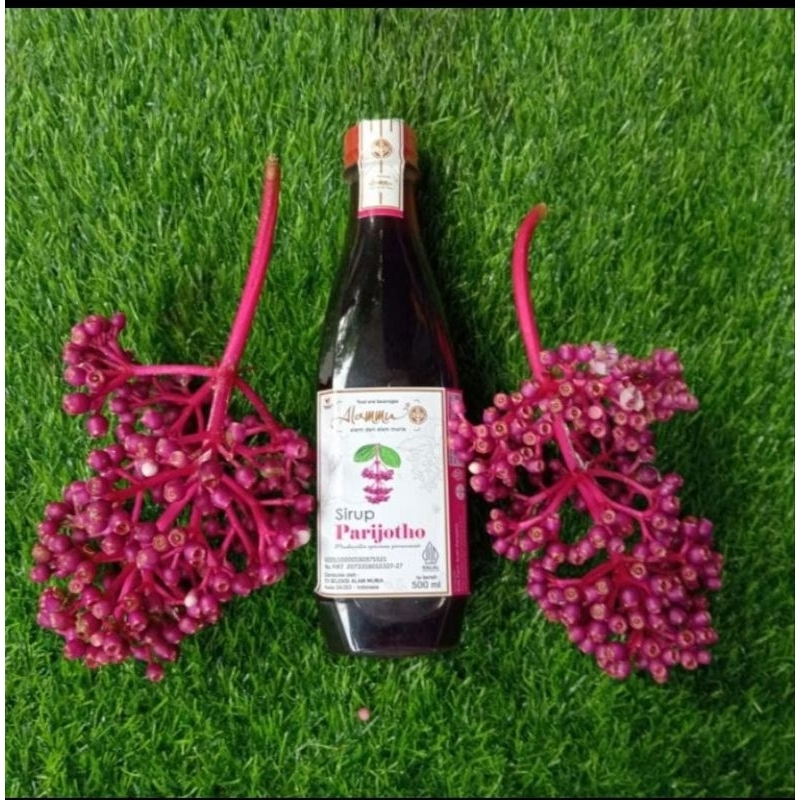 

Promil Sirup Buah Parijoto untuk promil partai besar pertangkai (BELI 20TANGKAI FREE TESTPACK) asli parijoto muria no pestisida