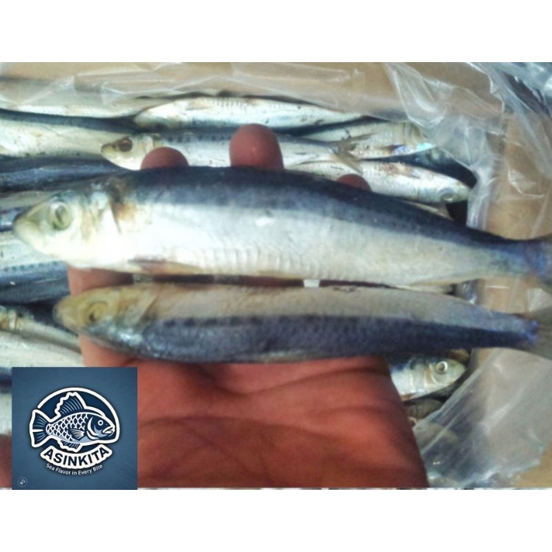 

Iklan Asin Japuh Siro 500 Gram 1 Kg