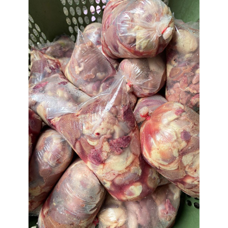 

AMPELA CURAH TERMURAH PEKANBARU 1 KG