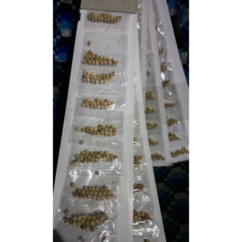 

Bumbu dapur rempah rempah merica harga perenceng