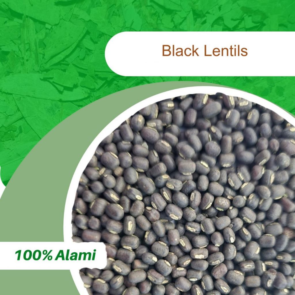 

100GR BLACK LENTILS / LENTIL HITAM ASLI 100%