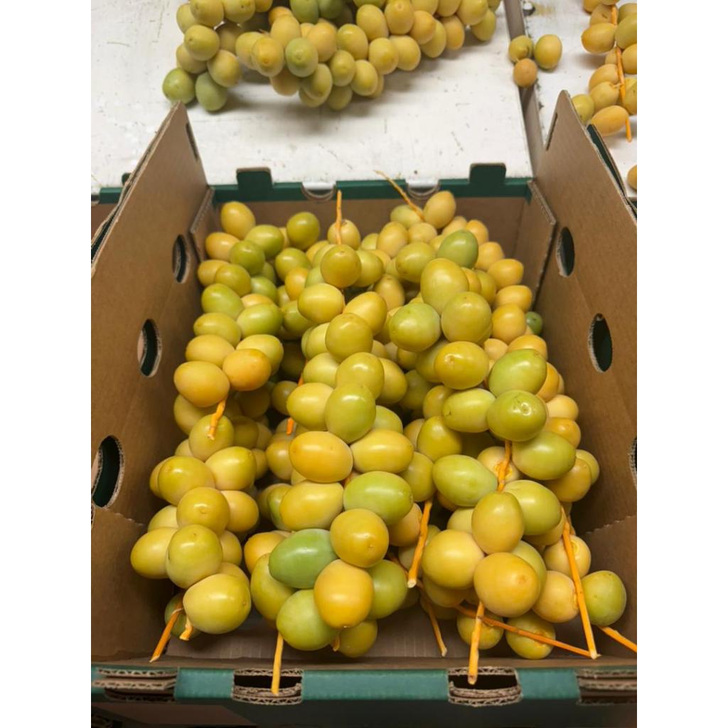 

Kurma Muda Kuning Promil Fresh Mengkel - 500 gr