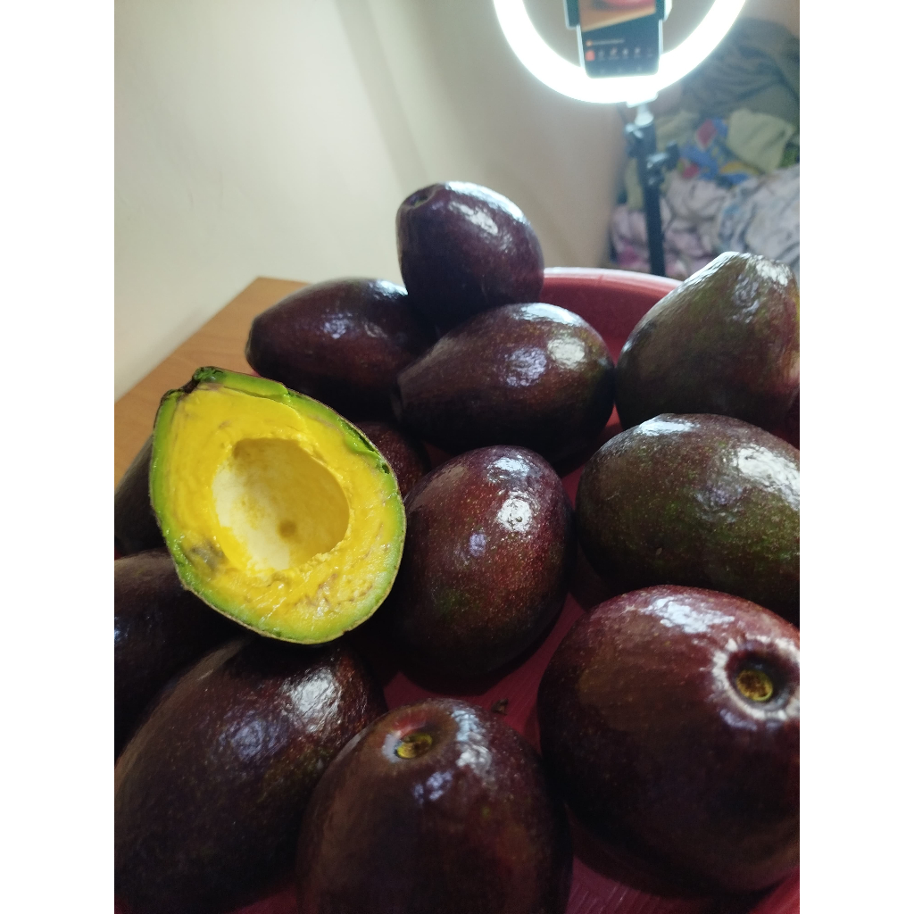 

BUAH ALPUKAT MENTEGA SEGAR BARU PETIK 2 kg isi 4