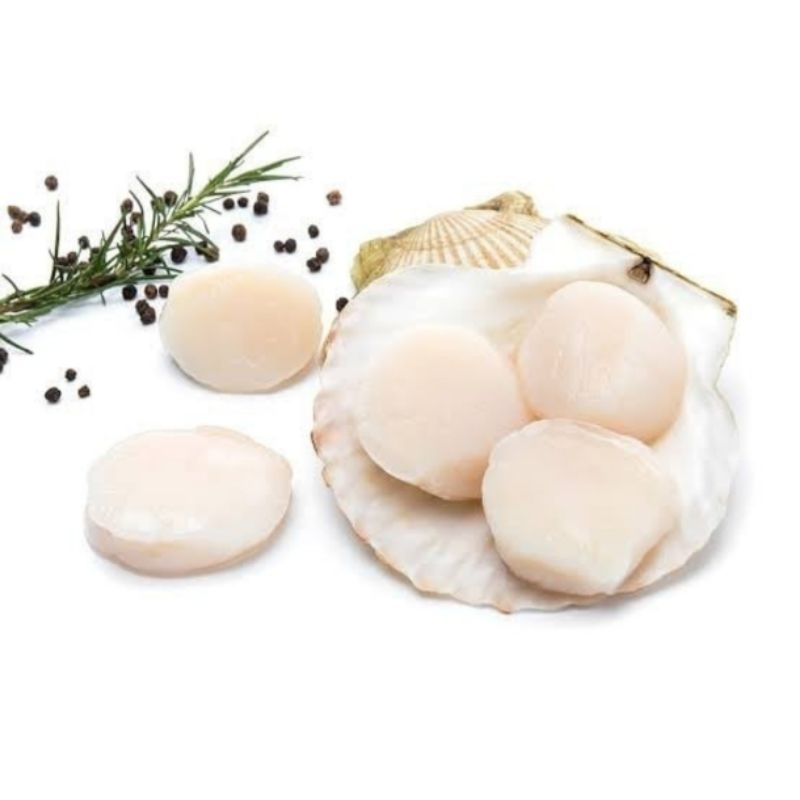 

Scallop Import 250gr Daging Scallop Daging Kerang