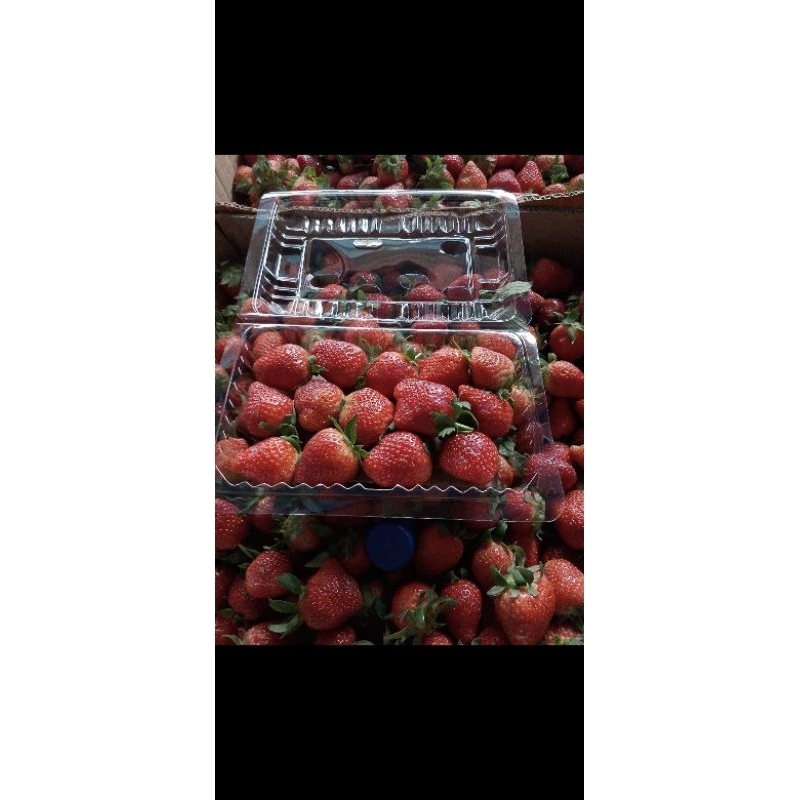 

Stroberi Jumbo 250 gram, 500 gram , 1 Kg