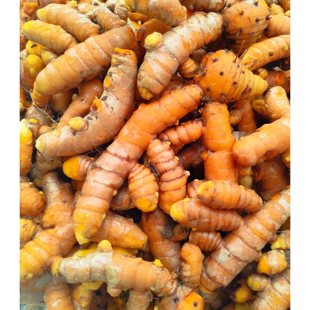 

{ 1KG } KUNYIT FRESH BERSIH DARI TANAH