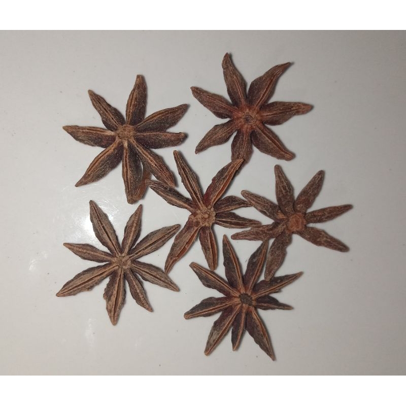 

PEKAK / BUNGA LAWANG ORIGINAL