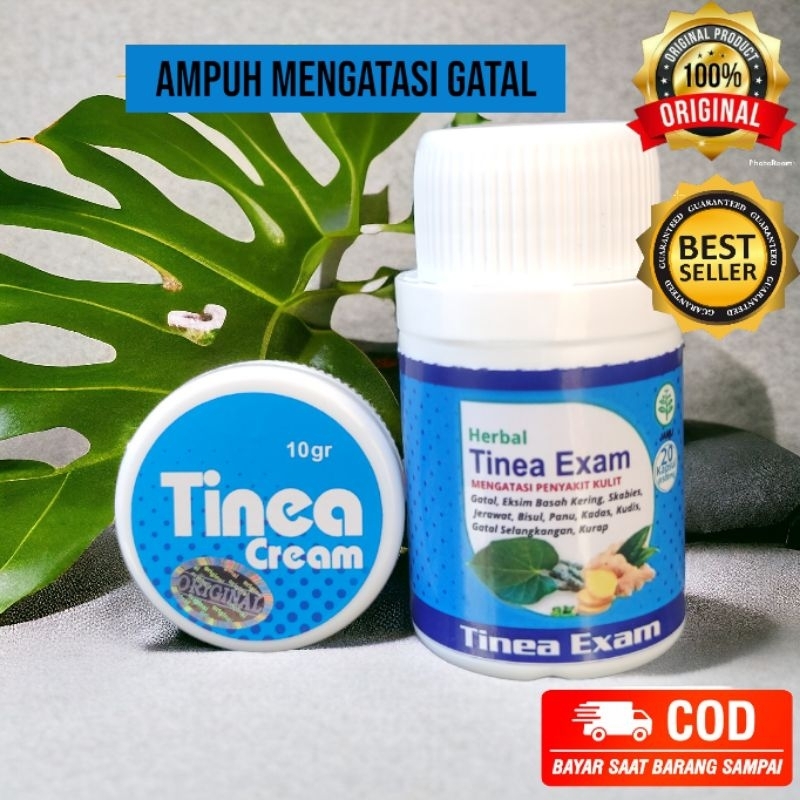TINEA EXAM ORIGINAL Salep Kapsul Gatal Kulit Ampuh