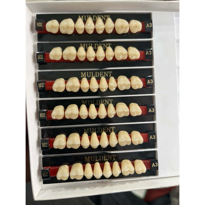 gigi geraham Muldent.per papan