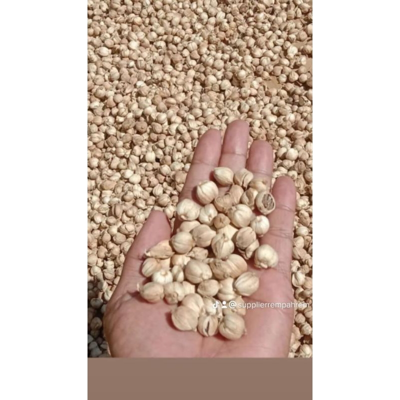 

kapulaga jawa kering premium