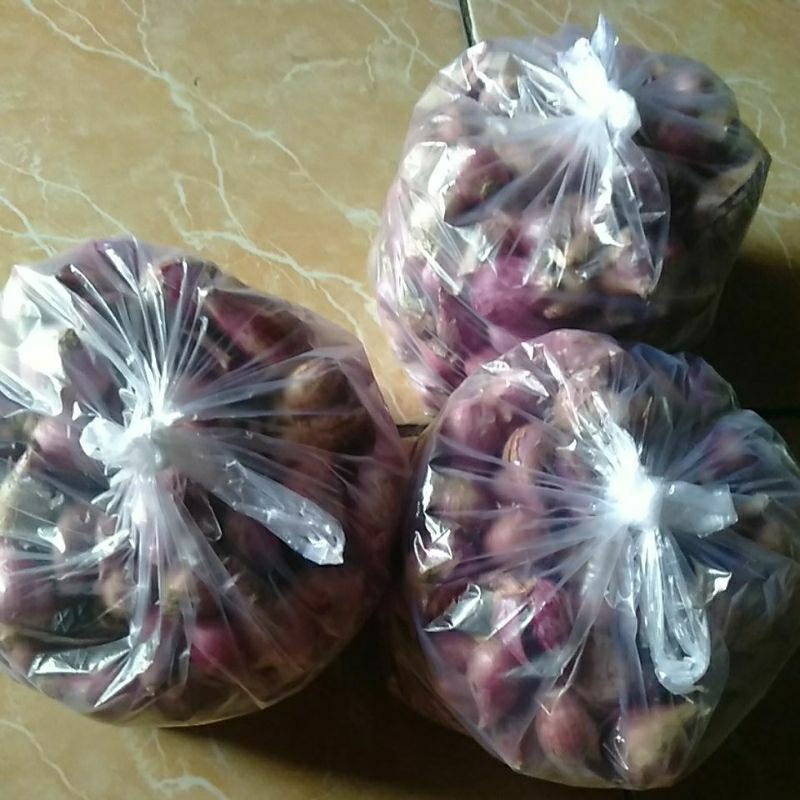 

brambang super besar panen sendiri