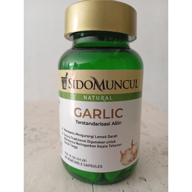 GARLIC SIDOMUNCUL +bubblewarp