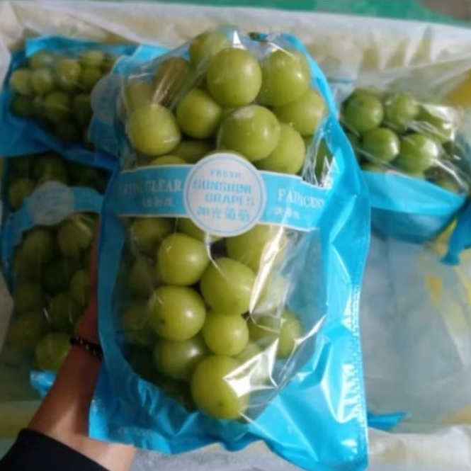 

Buah Anggur Shine Muscat Keranjang Mutu Terbaik Jual Per 1 BOK Krat