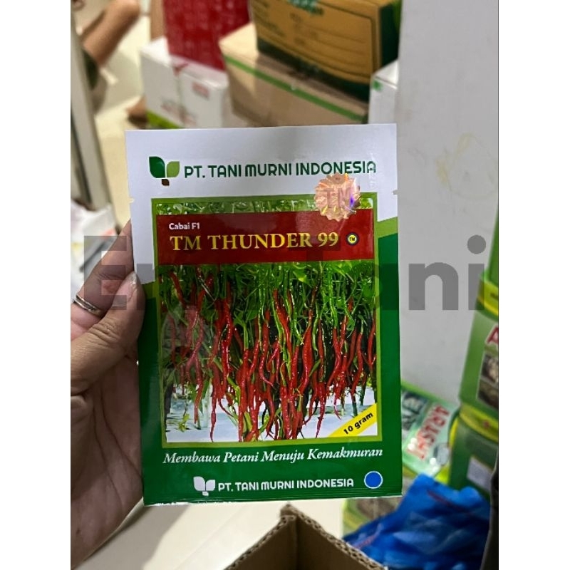 Benih cabe keriting TM THUNDER 99 10 gram cabai hibrida kriting dari tani murni cabe tm thunder 10gr