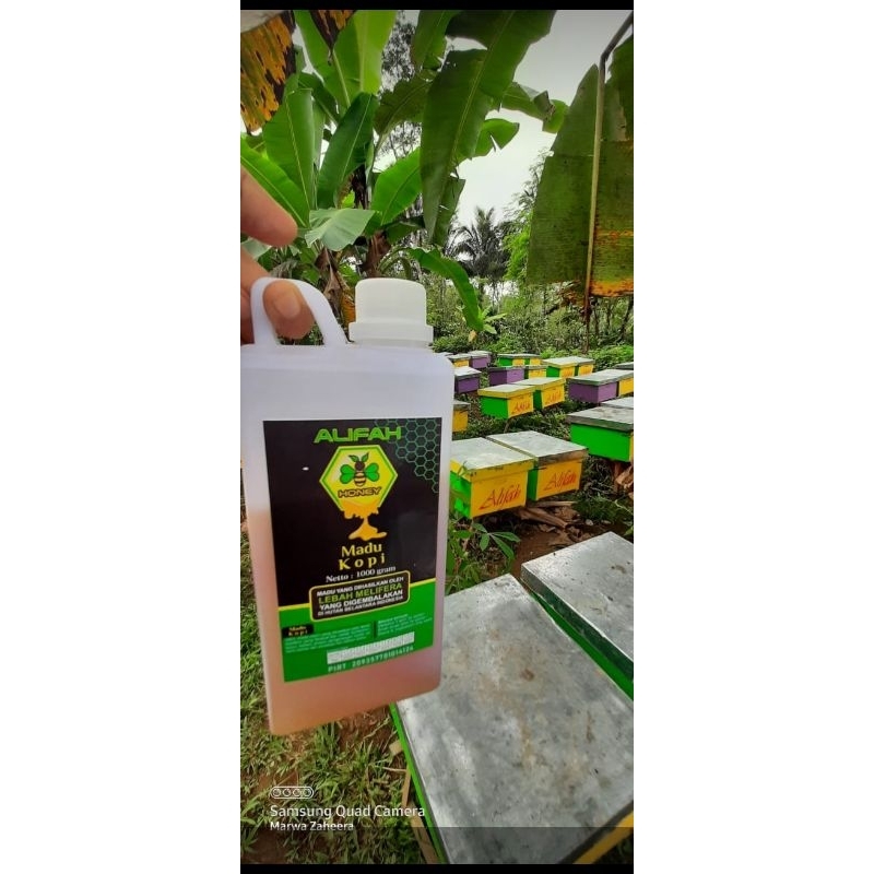 

Madu Multilora 500gr