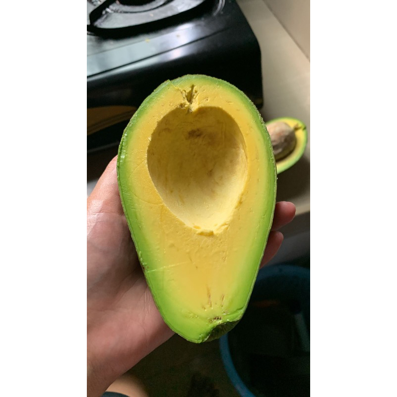 

ALPUKAT MENTEGA SUPER LEGIT BERGARANSI