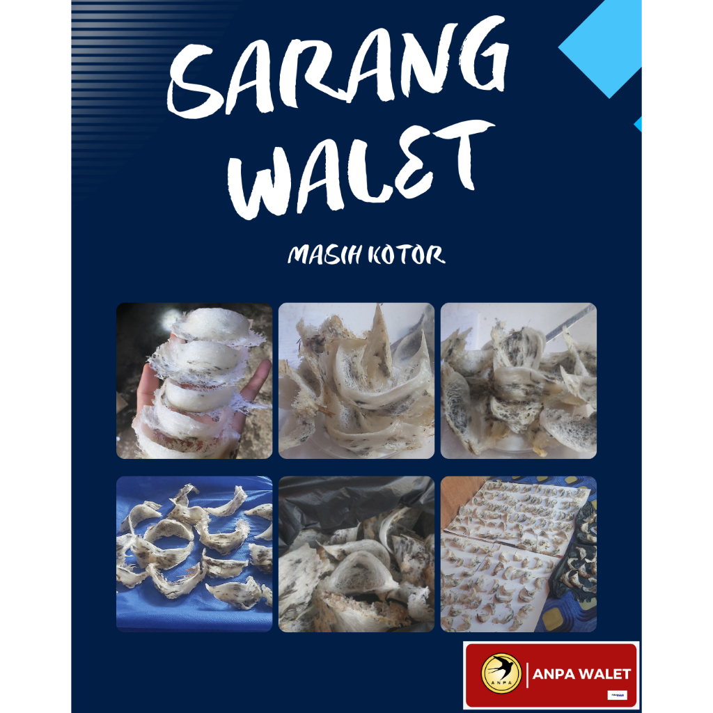 

Sarang Walet Utuh (harga per 10 GRAM)