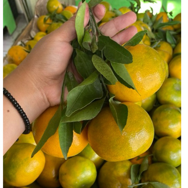 

JERUK SIEM MADU MANIS KUALITAS SUPER 1kg