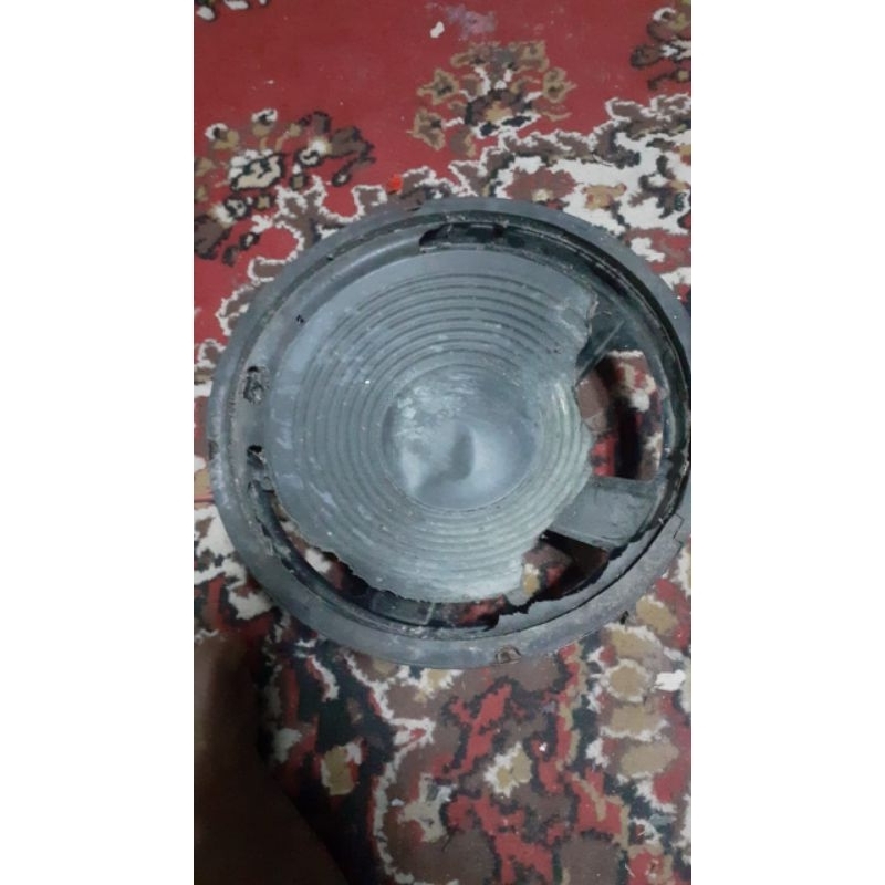 speaker 10 inchi.