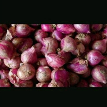 

bawang merah brebes grosir B