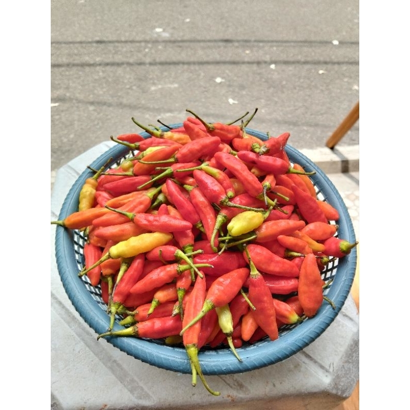 

Cabe Rawit Merah Ori Fresh