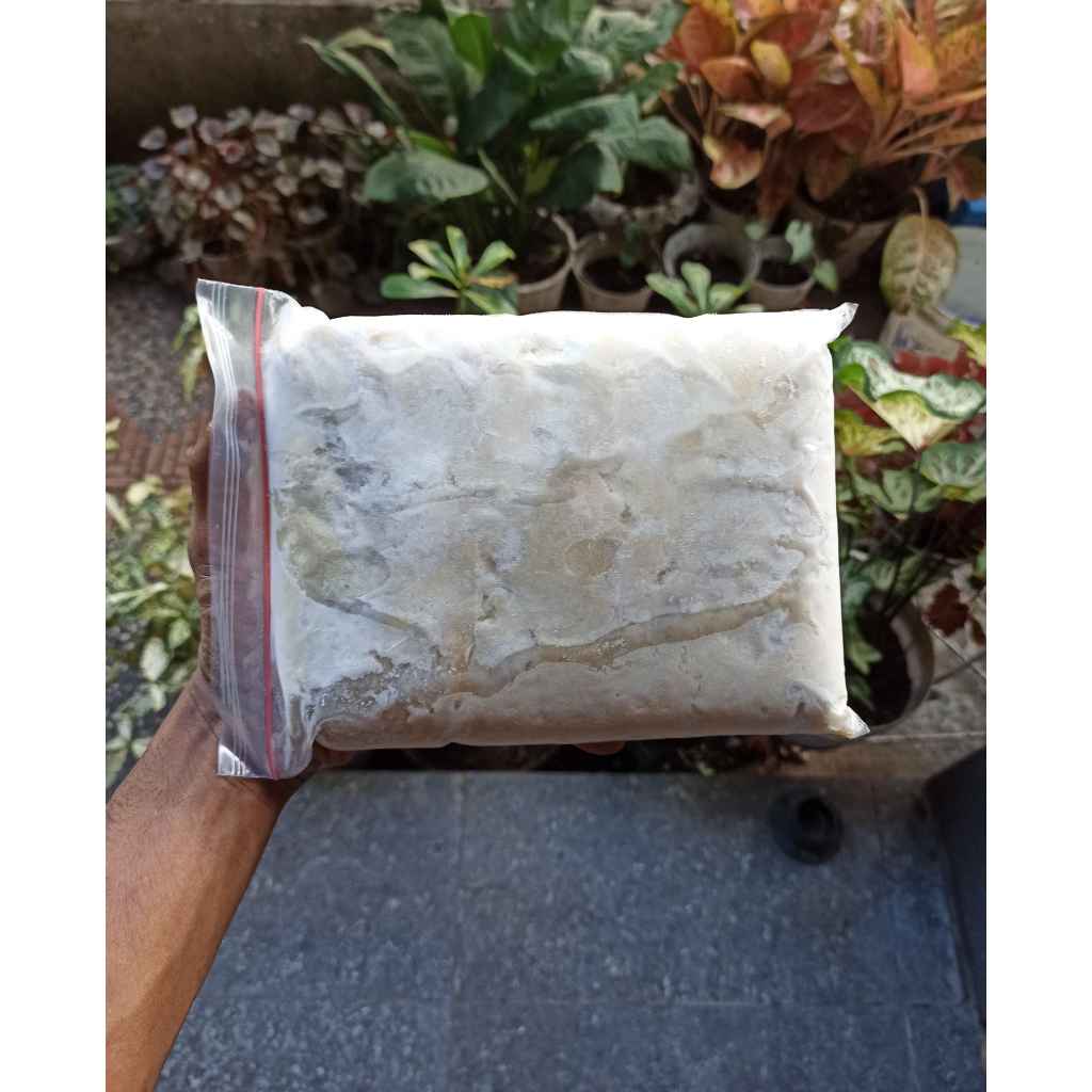 

Daging Durian Premium Kemasan 1kg