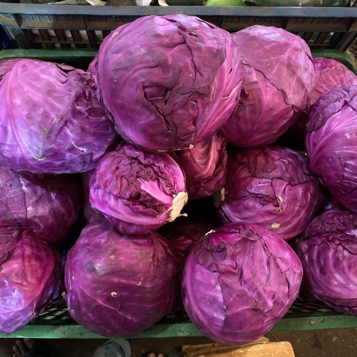 

Kol Merah 100 gr 1 kg Segar Murah Instan Surabaya Gubis Merah Red Cabbage