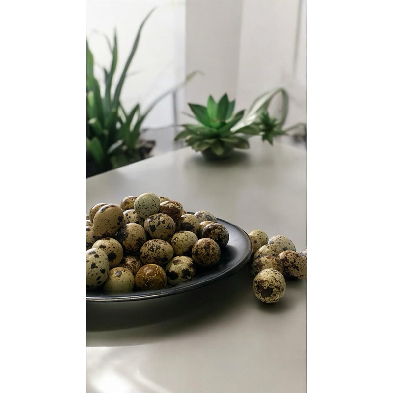 

telur puyuh 250gram fresh dari kandang