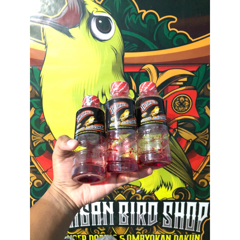 Dextro 87 original pleci