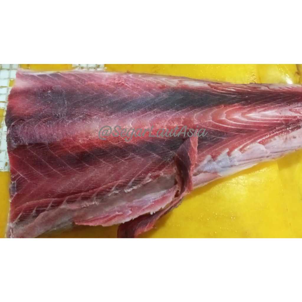 

Ikan Cucut Segar Ikan Cucut Fillet 1Kg