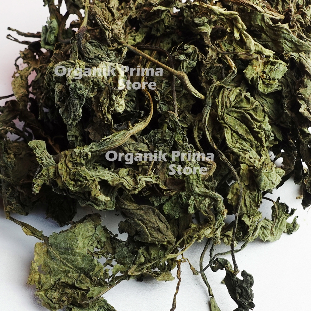 

Daun Insulin 1kg Kering Bersih dan Organik