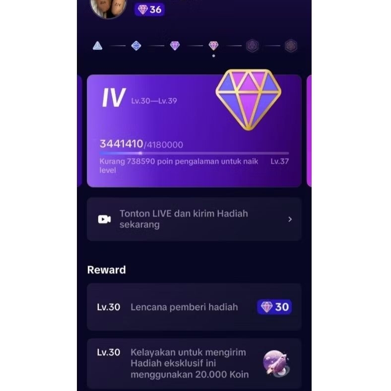Akun Tiktok Level 36 Pay Indo