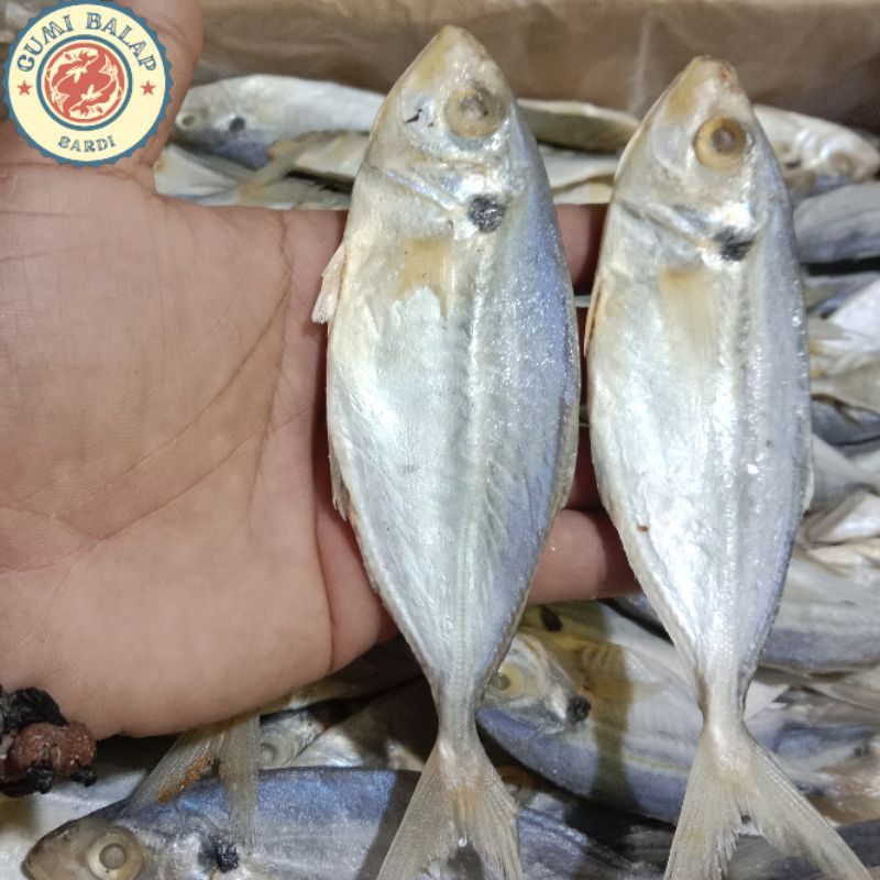 

ikan asin selar/selar