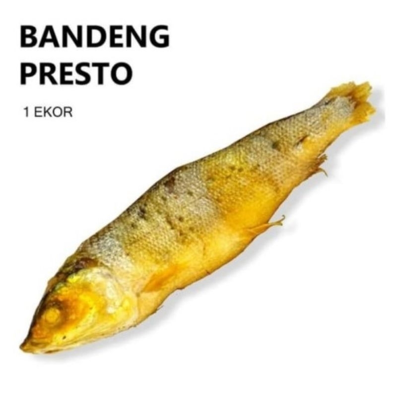 

Ikan bandeng presto 1 ekor