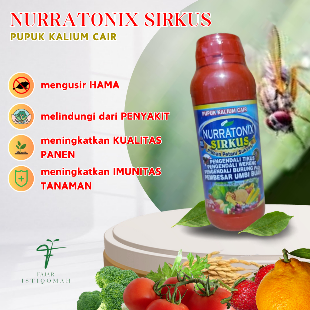 NURRATONIX SIRKUS ISI 500ML OBAT HAMA LALAT BUAH PADA CABAI, PENGENDALI LALAT BUAH, OBAT HAMA LALAT