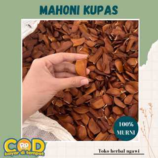

Biji Mahoni Kulit Kemasan 100 Gr