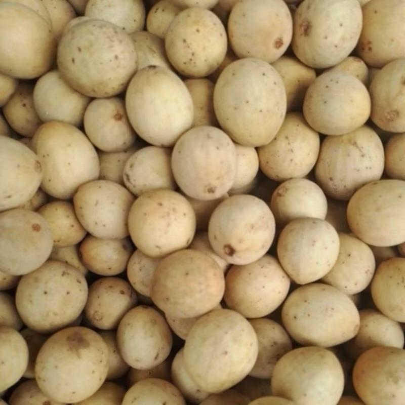 

Duku Palembang manis madu fresh 1kg