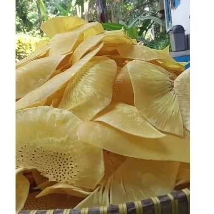 

Keripik sukun tipis lebar kualitas premium kriuk