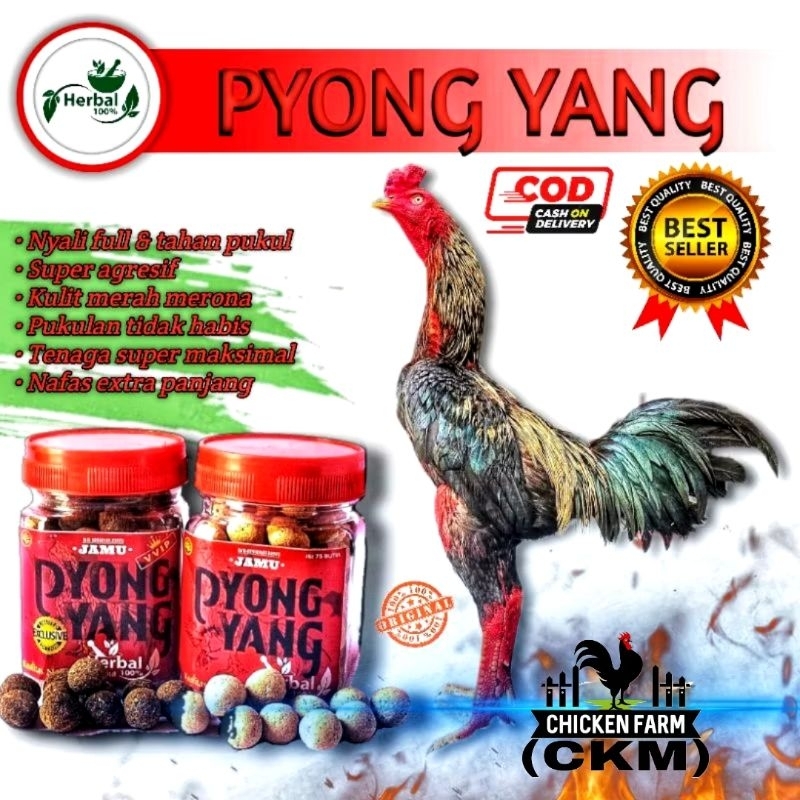 JAMU PYONGYANG SUPER AGRESIFJAMU AYAM ADUAN DOPING AYAM ADUAN 100%