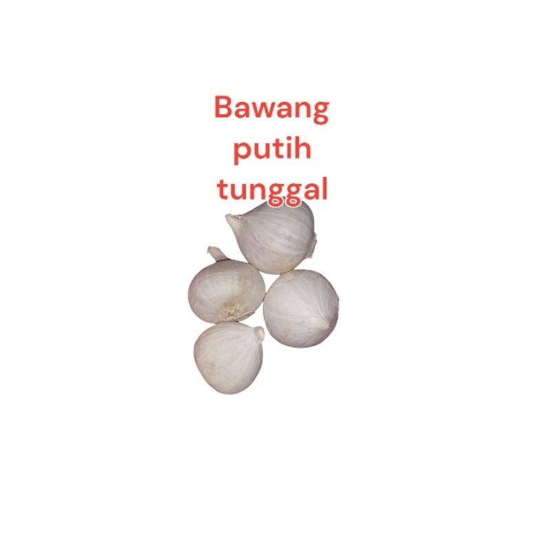 

Bawang putih tunggal 250 gram