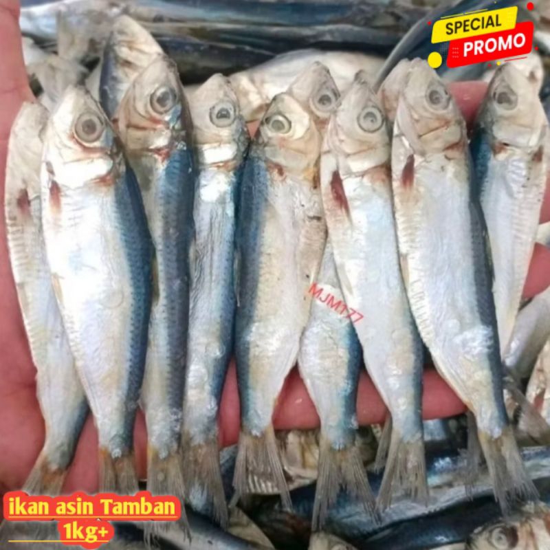 

ikan asin tamban 1kg Special superan